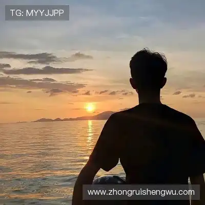 时瑾仲